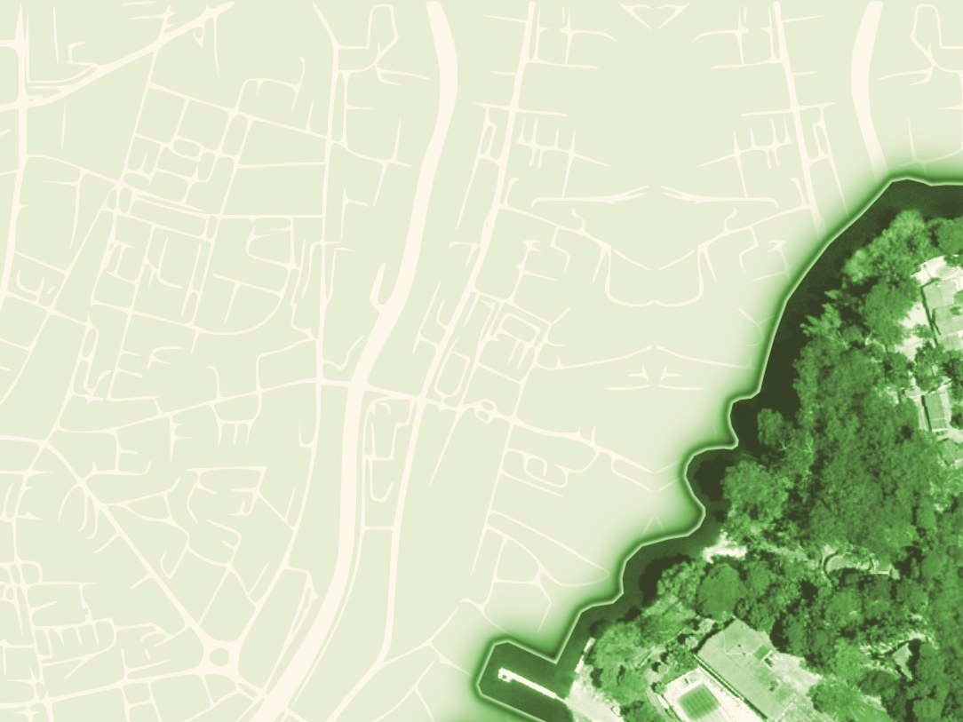 Mapa de ruas sobreposto a ortofoto, em tons de verde